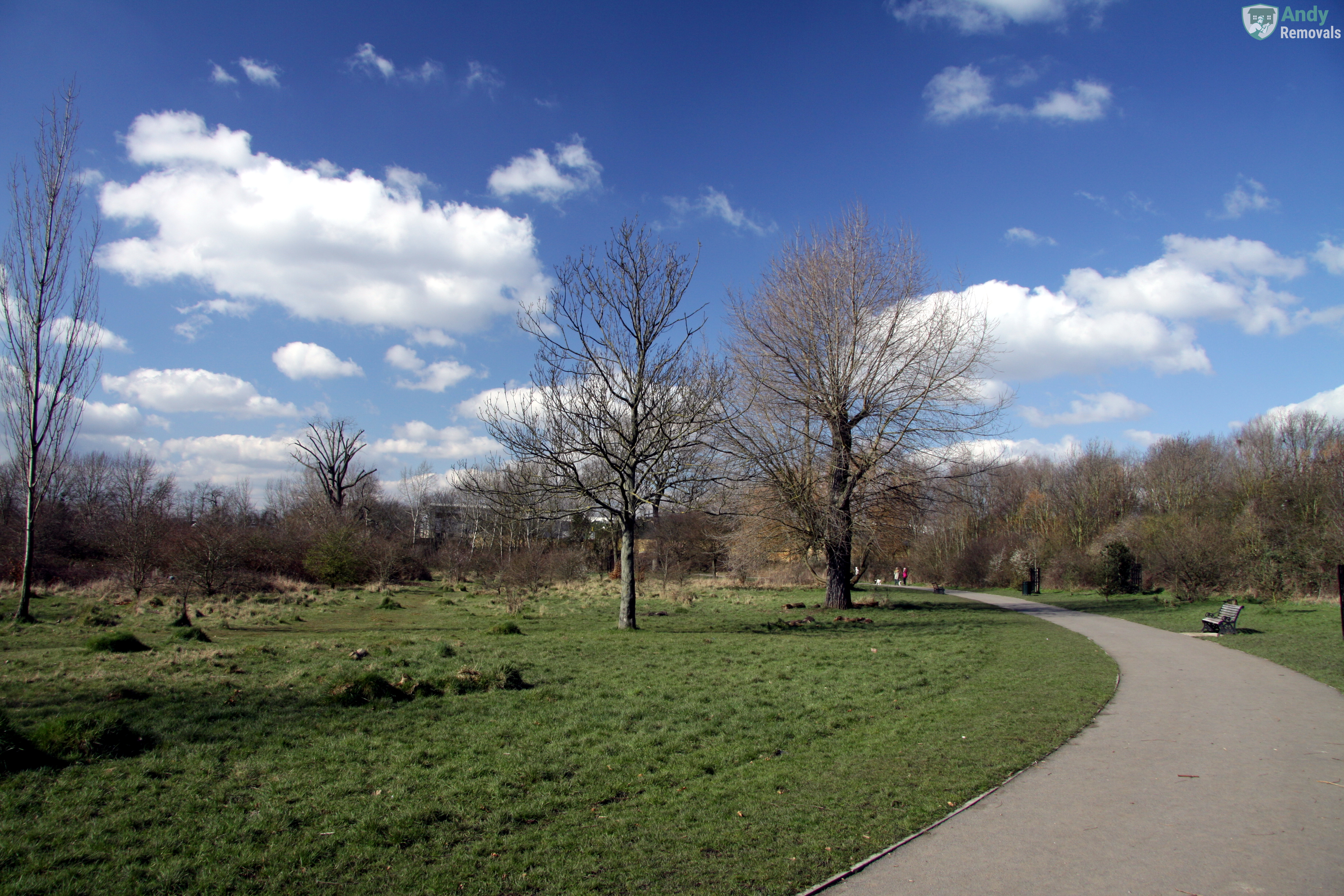 Andy Removal Wormwood Scrubs (W12)